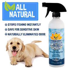 Bodhi Dog flacon tenu en main pour comparaison de taille pratique