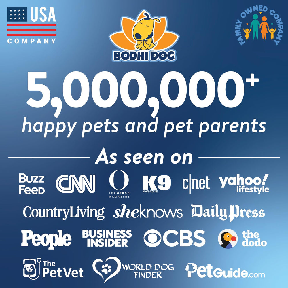 Bodhi Dog produit posé dans salon montrant confort d'utilisation à domicile