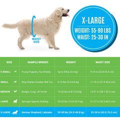 Bodhi Dog gros plan du noyau absorbant pour absorption rapide