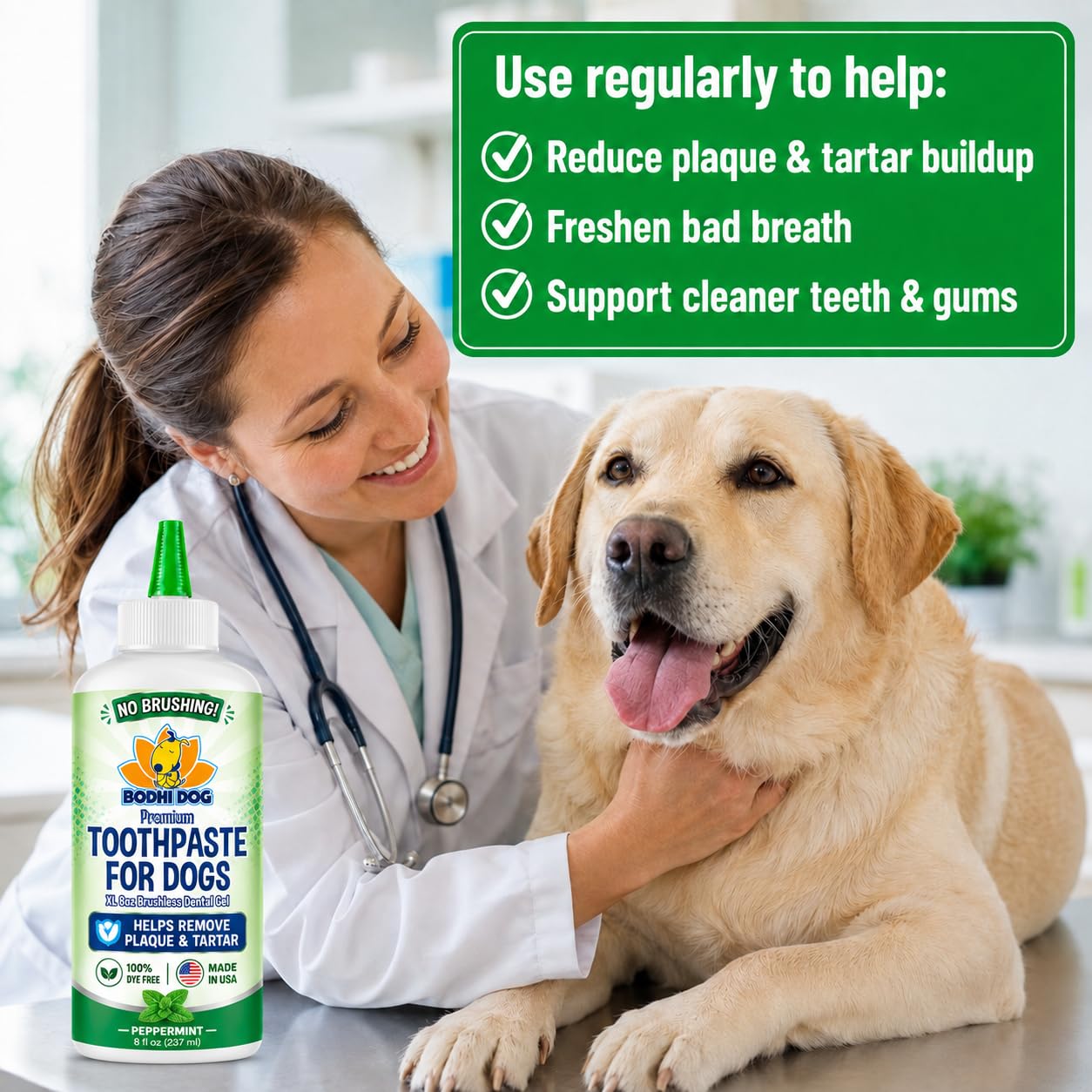 Bodhi Dog mise en scène lifestyle chiens et soins buccaux pour routine quotidienne