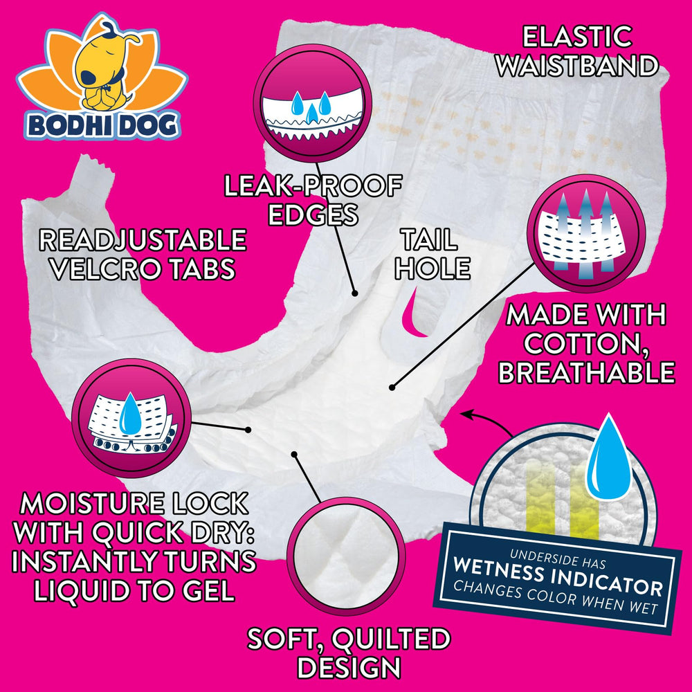 Bodhi Dog gros plan du noyau absorbant illustrant absorption rapide