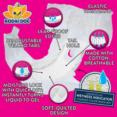 Bodhi Dog gros plan du noyau absorbant illustrant absorption rapide