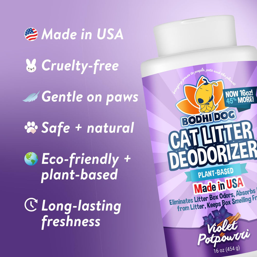 Bodhi Dog gros plan sur la texture poudreuse montrant l'absorption efficace et naturelle