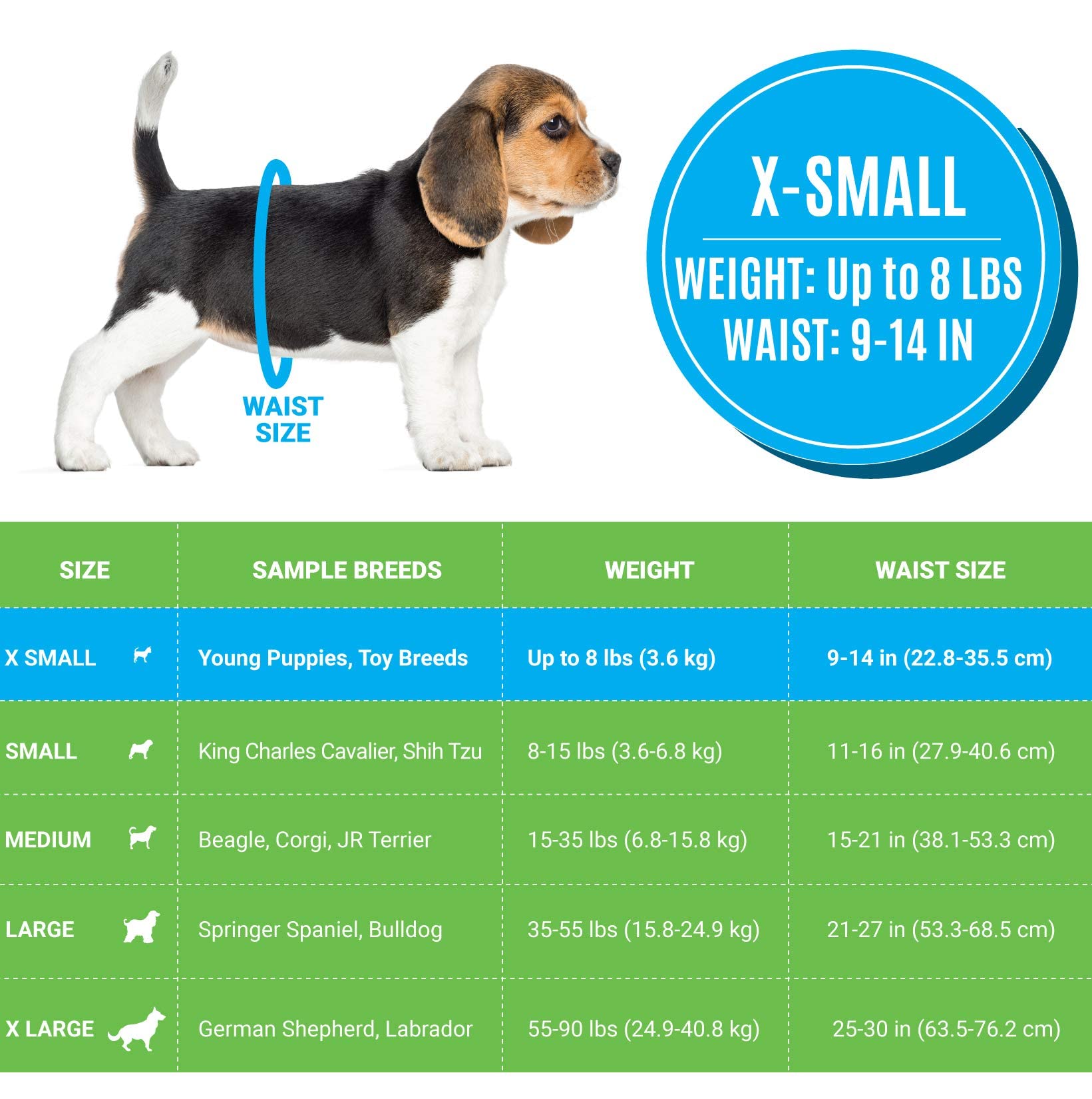 Bodhi Dog gros plan du noyau absorbant montrant gelisation rapide bénéfique
