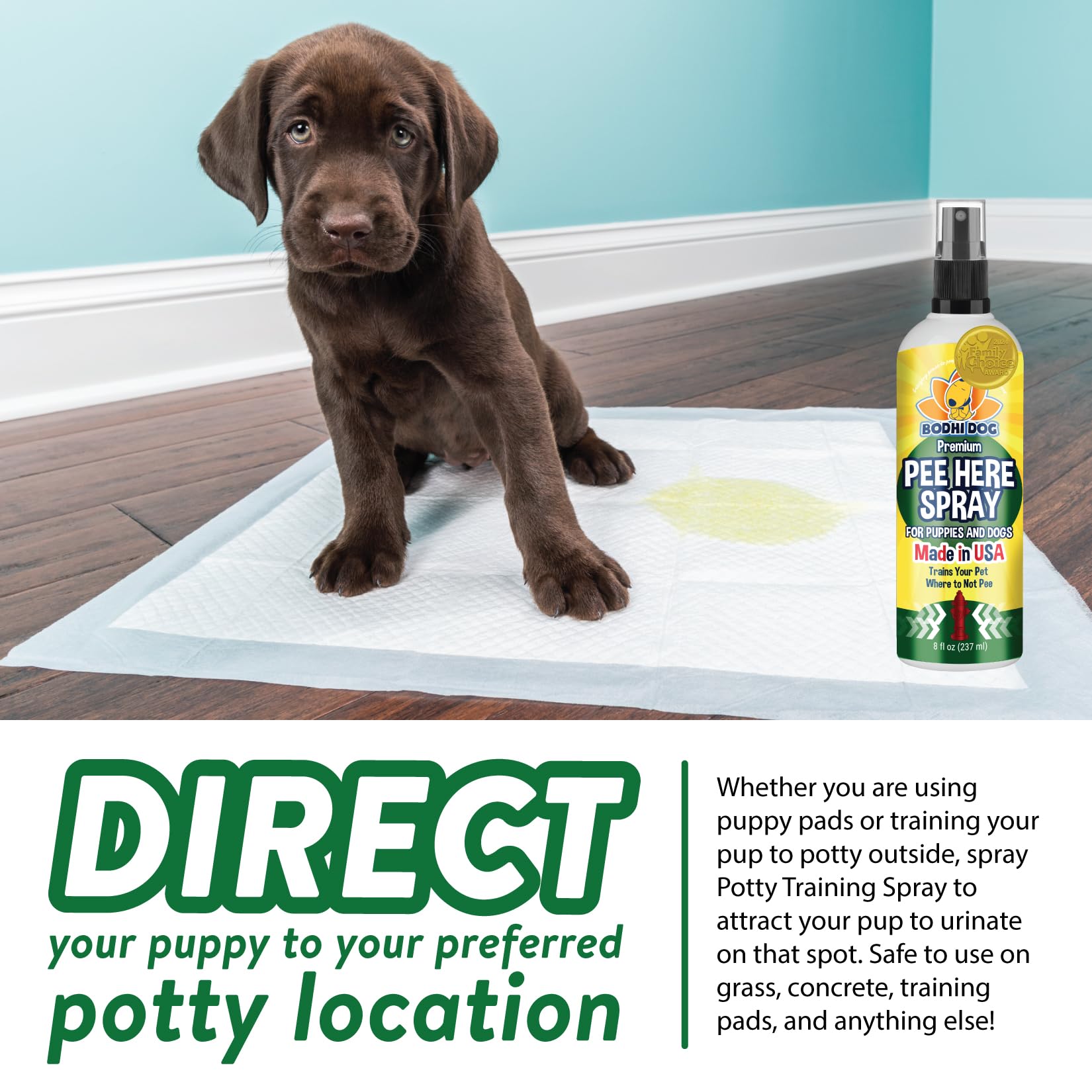 Bodhi Dog vaporisé dans le jardin guide le chiot vers l'extérieur