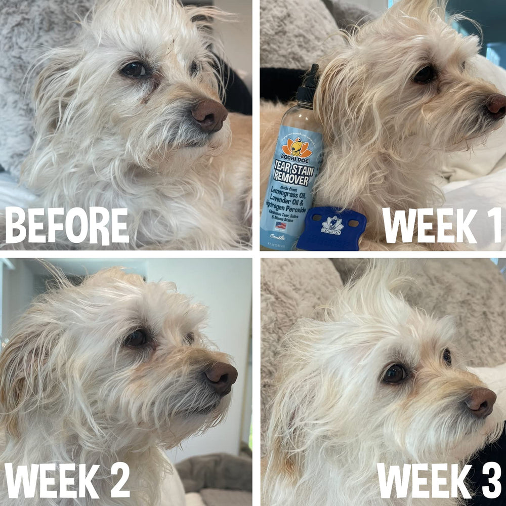 Bodhi Dog texture du produit en goutte montrant consistance douce