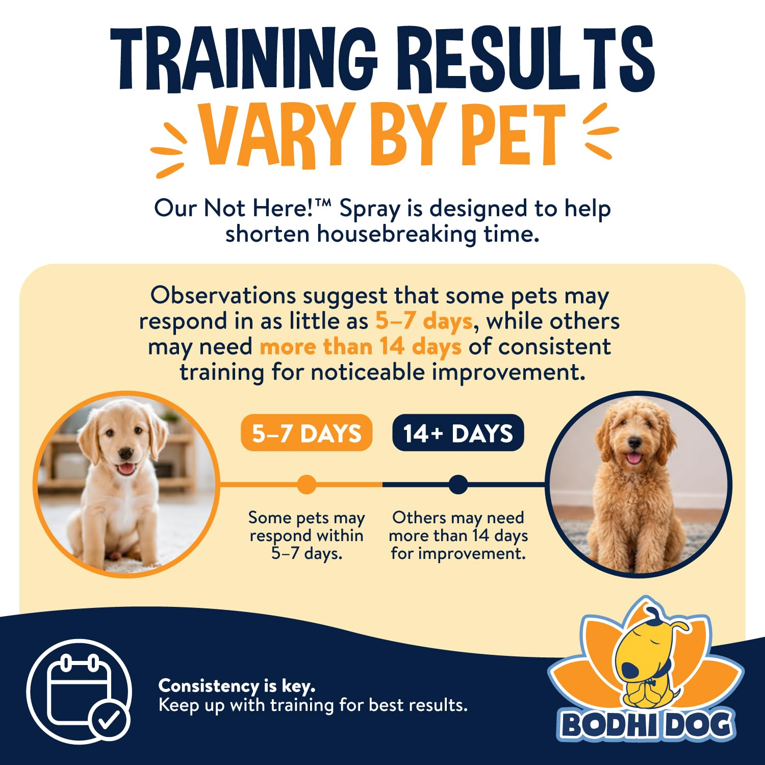 Bodhi Dog en usage sur patio extérieur pour dissuader urines de chien