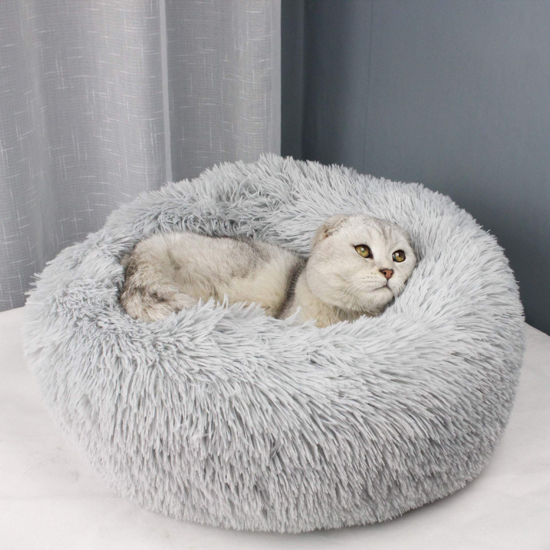 BODISEINT chat blotti dans le panier pour relaxation