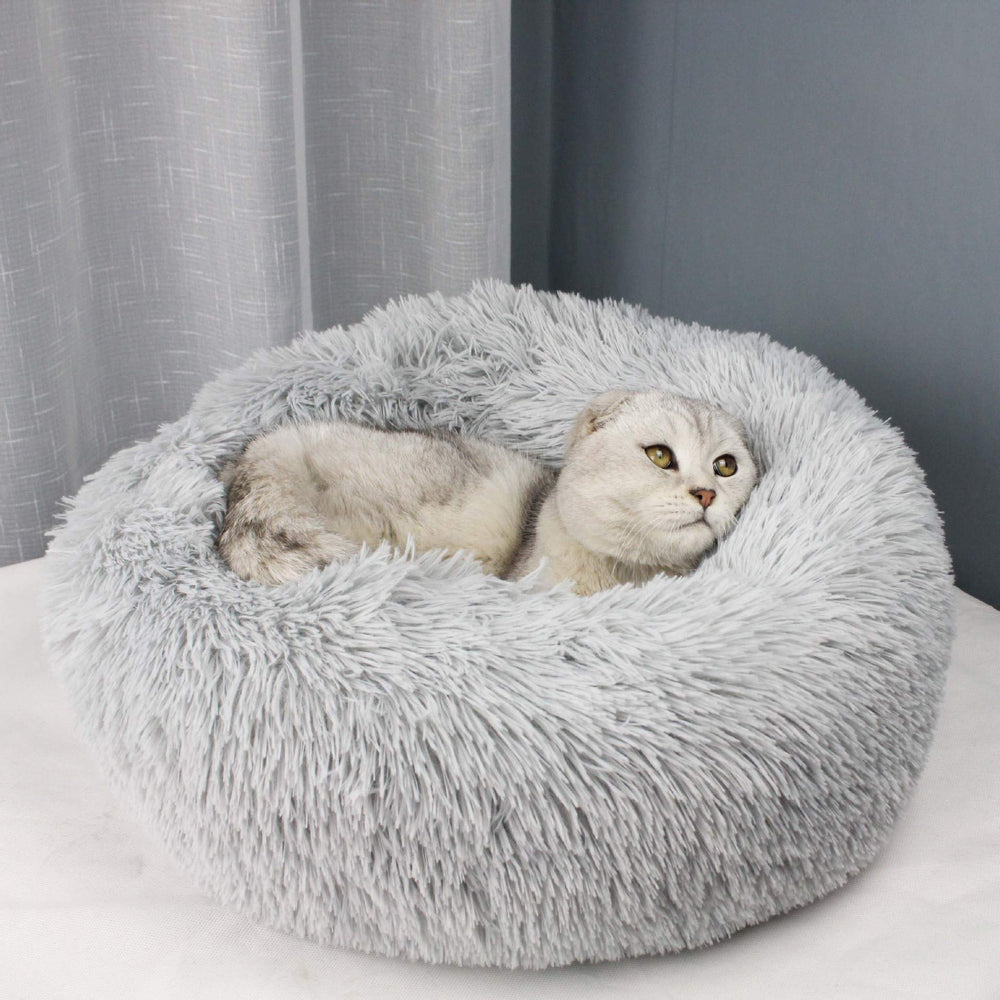 BODISEINT chat blotti dans le panier pour relaxation