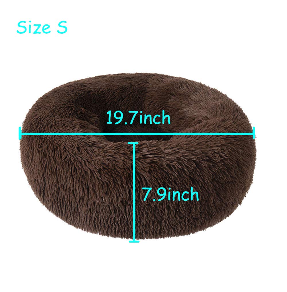 BODISEINT comparaison taille avec règle montrant dimensions 20 pouces