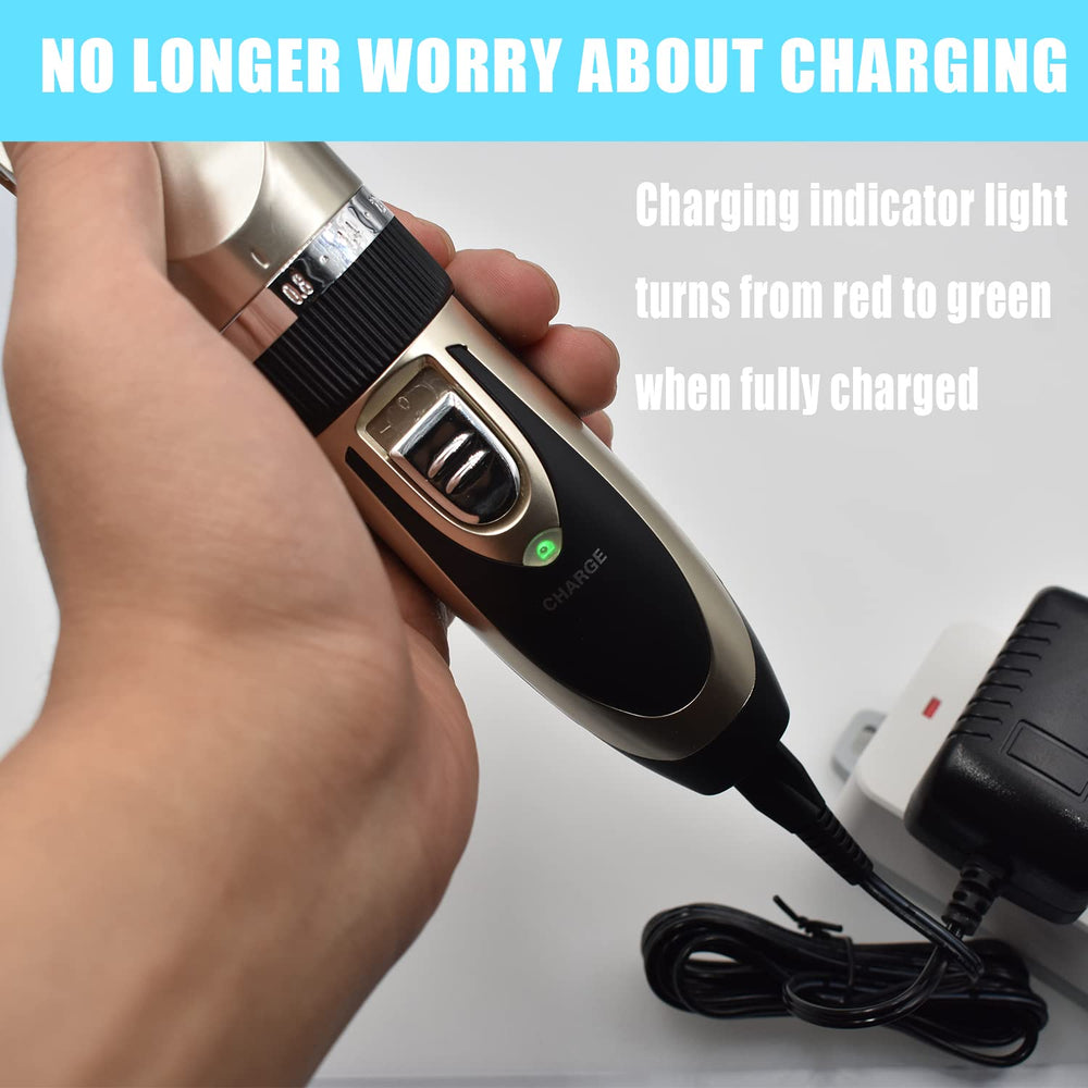 Emballage BOEEA ouverte montrant le chargeur inclus et accessibilité immédiate