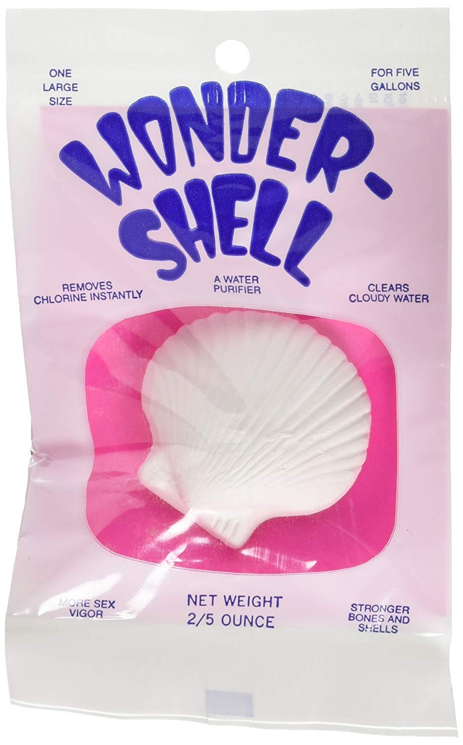 bokilino Weco Wonder Shell gros plan sur la texture poreuse de la coquille, favorise diffusion lente des minéraux
