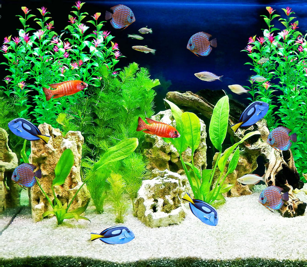 BOLYEE lot de deux plantes crée forêt aquatique dense