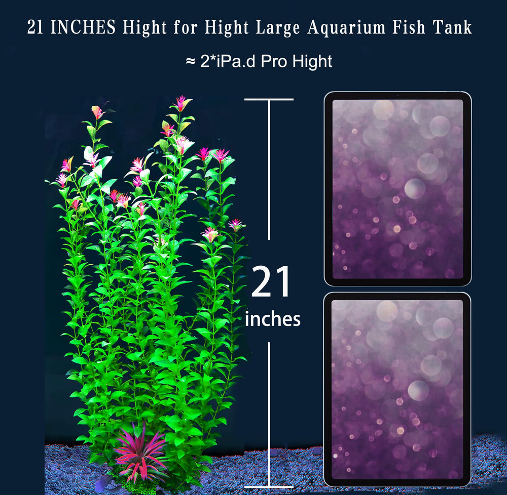 BOLYEE plante en aquarium avec betta offrant cachette sécurisée
