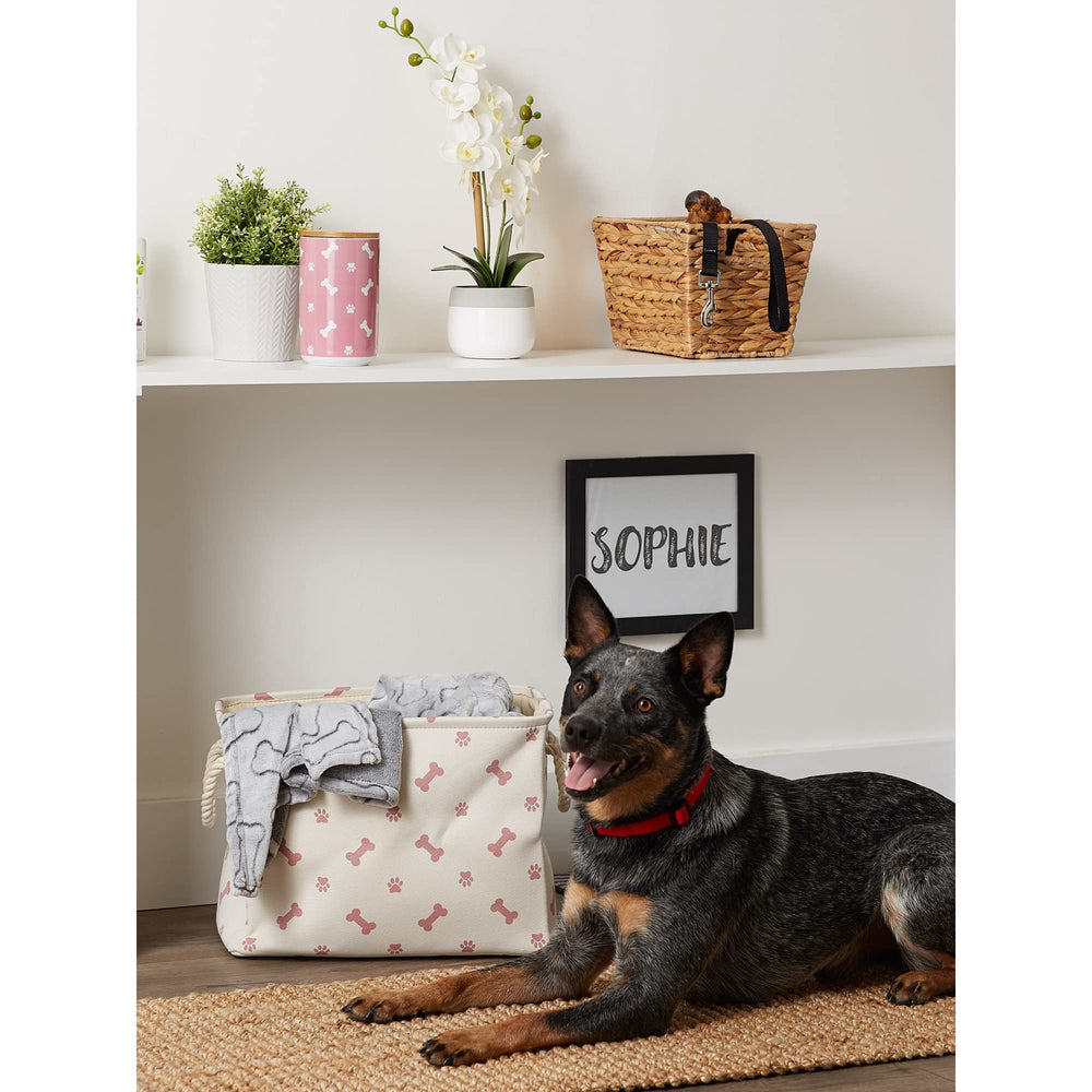 Bone Dry comparaison taille avec objet du quotidien pour échelle