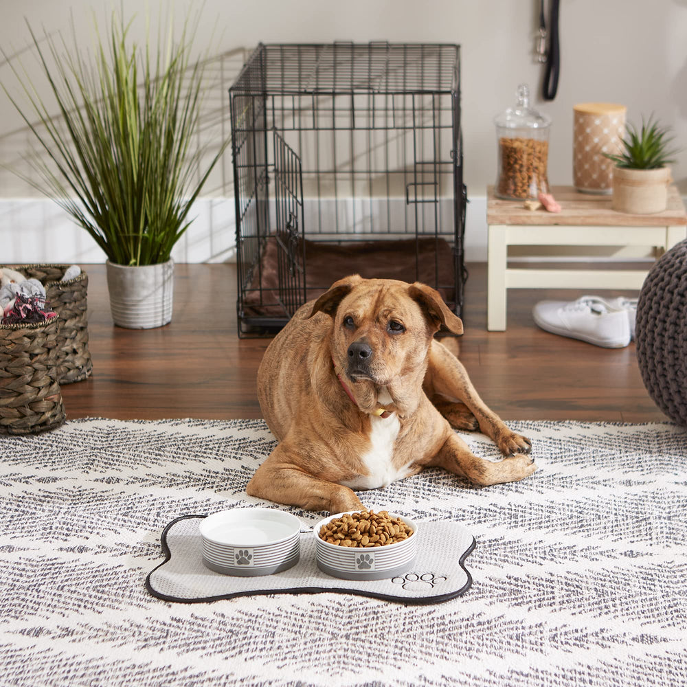 Bone Dry bol utilisé par un chat, repas propre et sans glissements