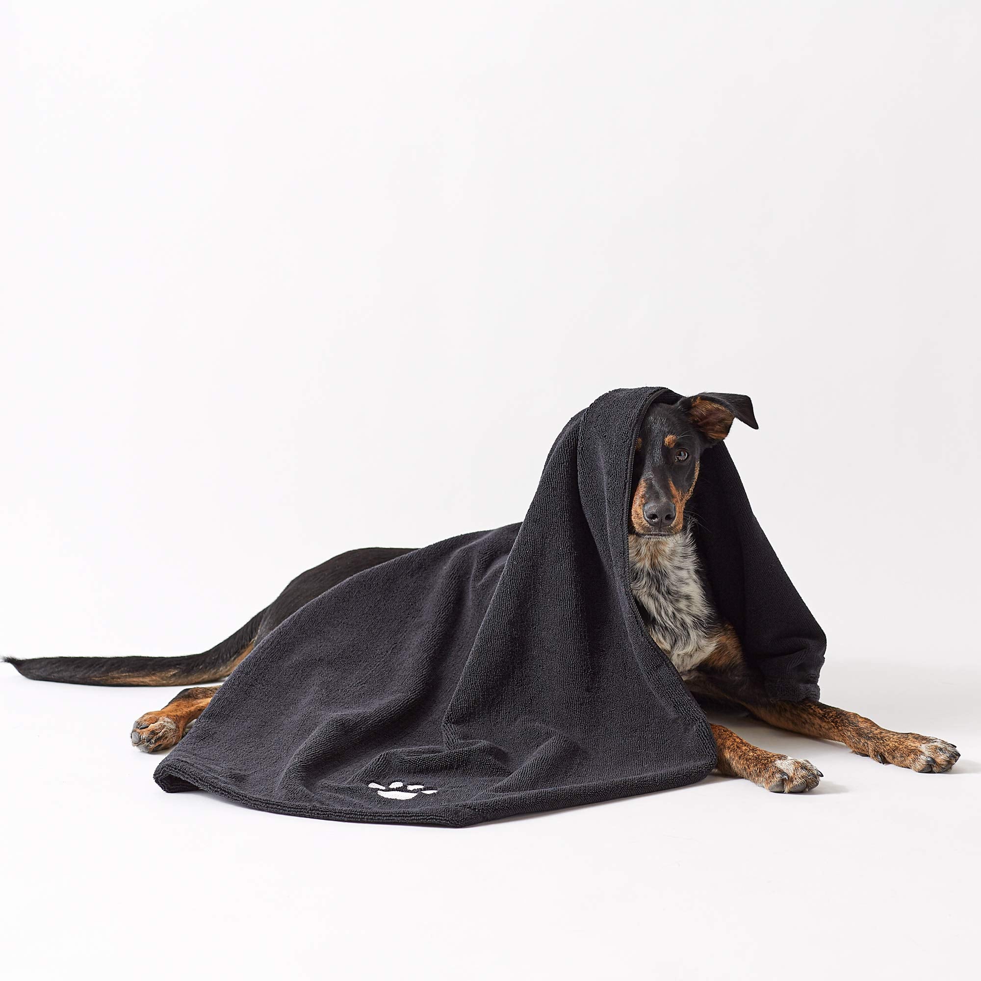 Bone Dry serviette utilisée pour sécher un chat confortable et calme