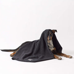 Bone Dry serviette utilisée pour sécher un chat confortable et calme