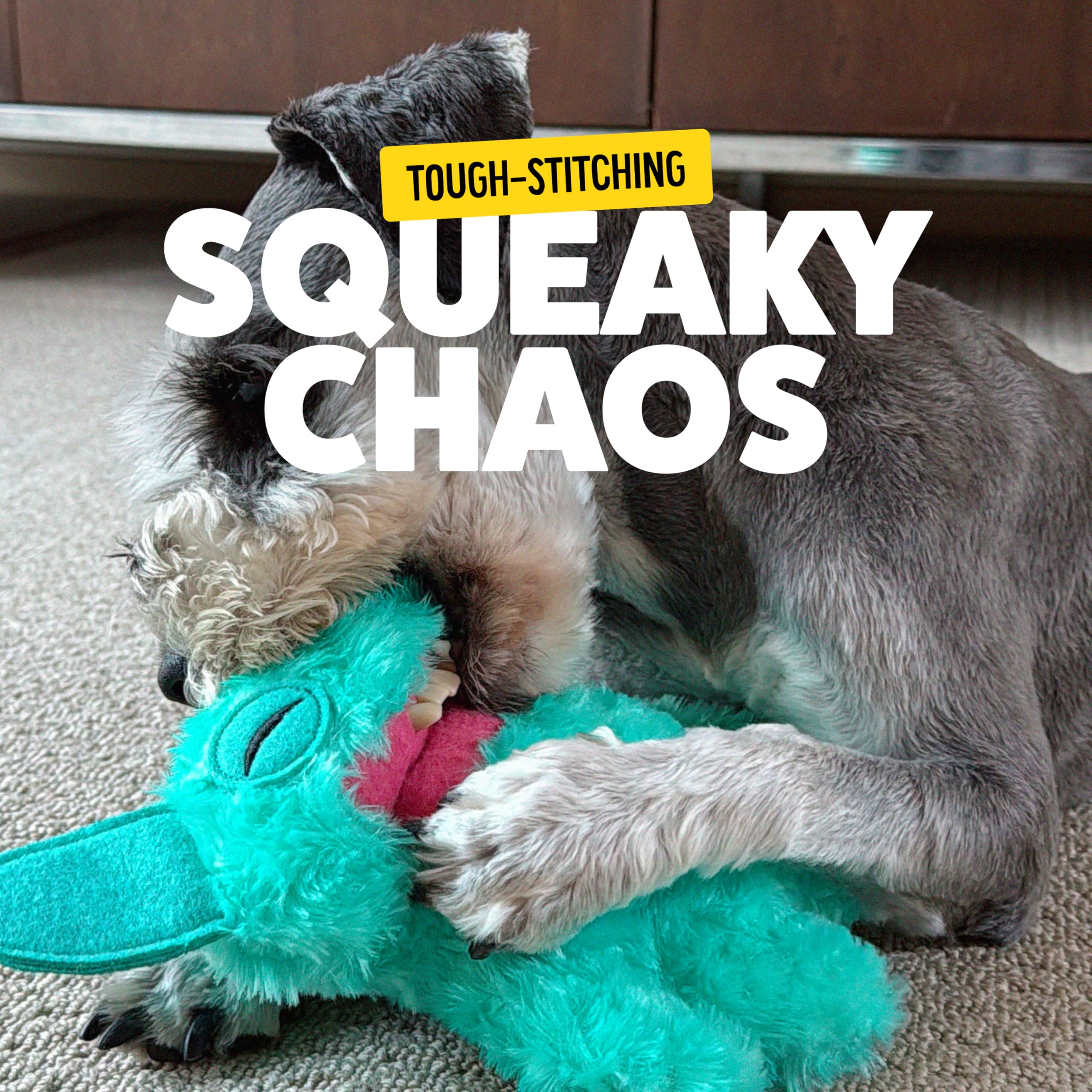 Bonkers Fuggler chien jouant stimule activité et interaction