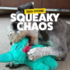 Bonkers Fuggler chien jouant stimule activité et interaction