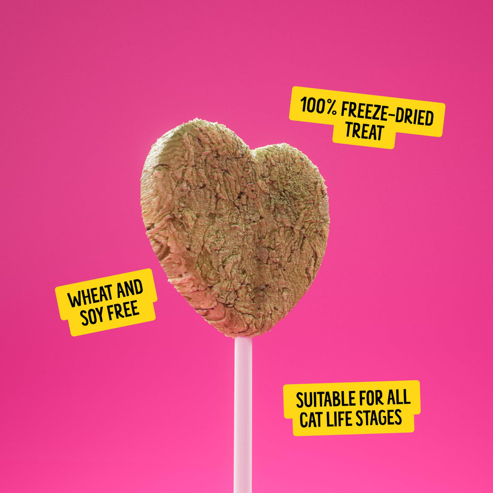 Bonkers gros-plan sur la texture freeze-dried offrant saveur concentrée