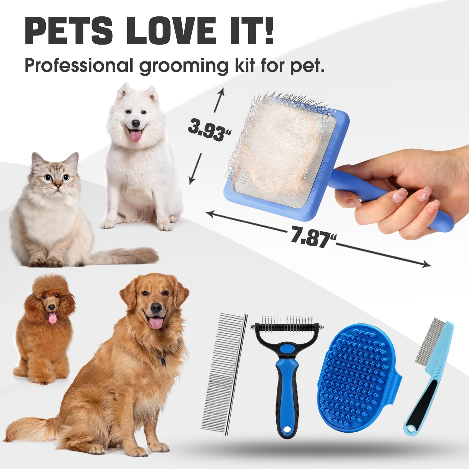 Bonteck toilettage lifestyle chien présentation avant-après pour confort et pelage soigné
