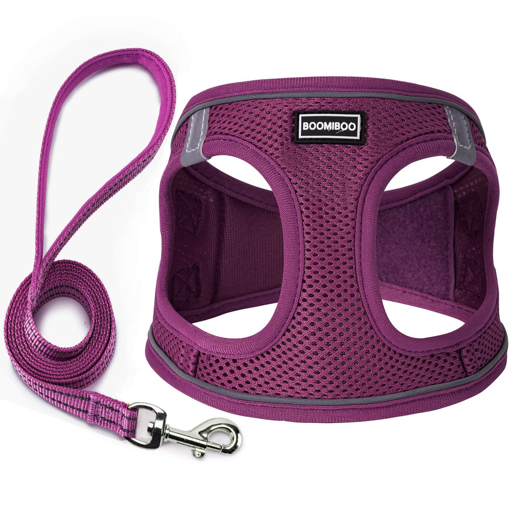 BOOMIBOO harnais face avant montrant coupe cranberry et ajustement confortable