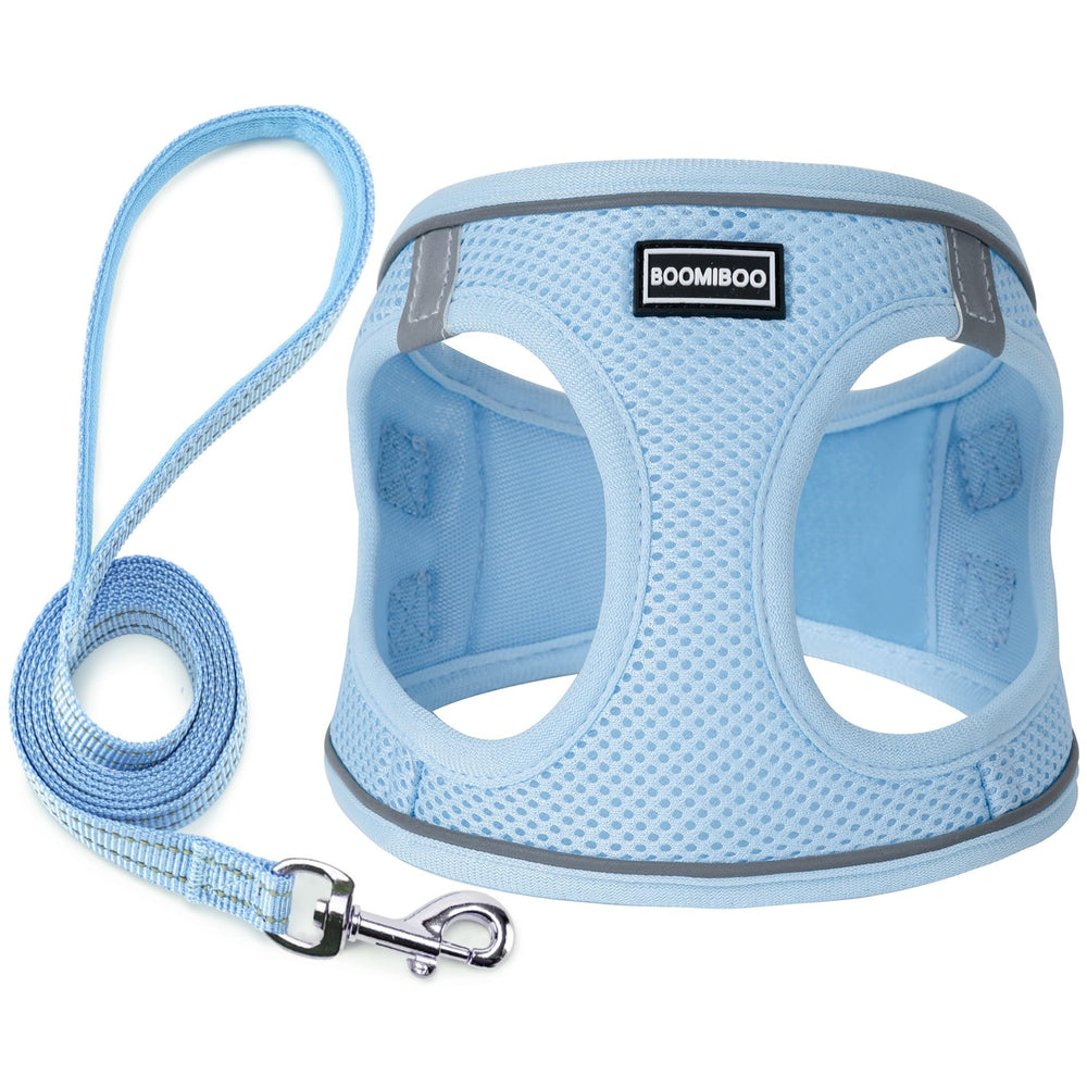 BOOMIBOO harnais face avant ciel montrant le design et l’ajustement confortable
