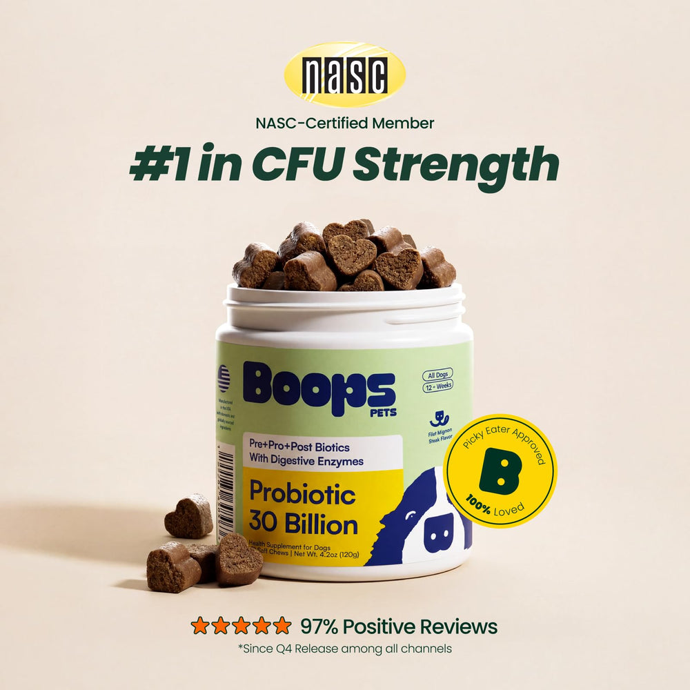 Boops Pets gros plan sur la texture du chew montrant appétence et facilité à mâcher