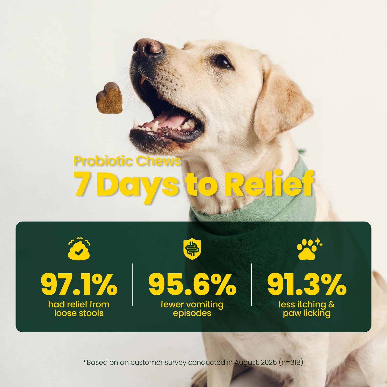Boops Pets friandises masticables affichées pour administration quotidienne pratique