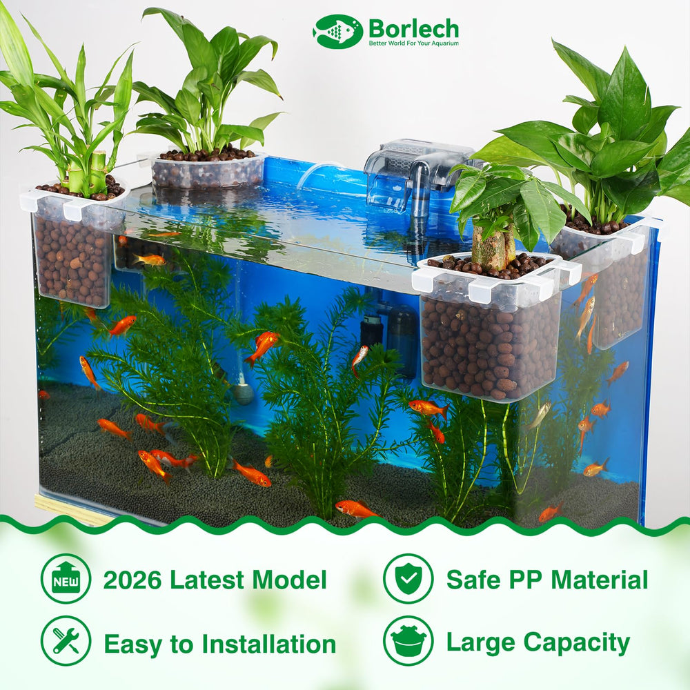 Borlech avec pothos suspendu, améliore filtration naturelle et esthétique