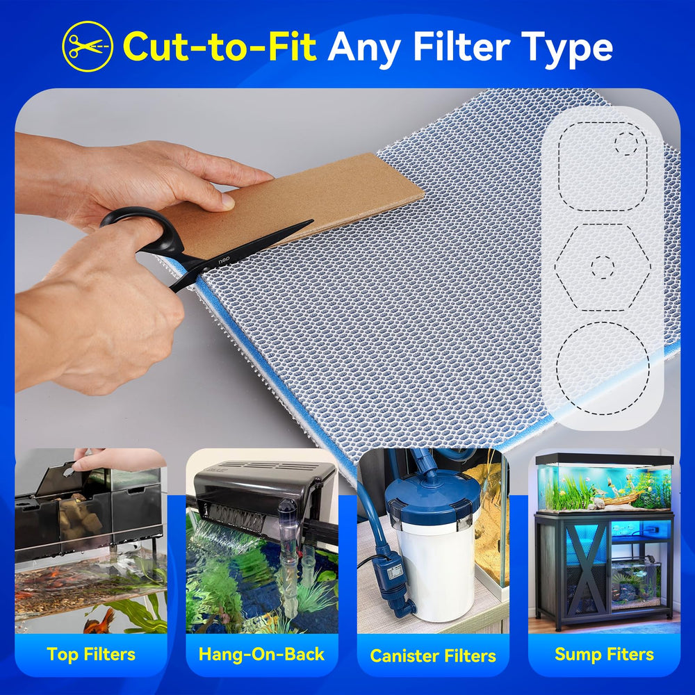 Borlech installé dans un sump illustrant bonne circulation et oxygénation