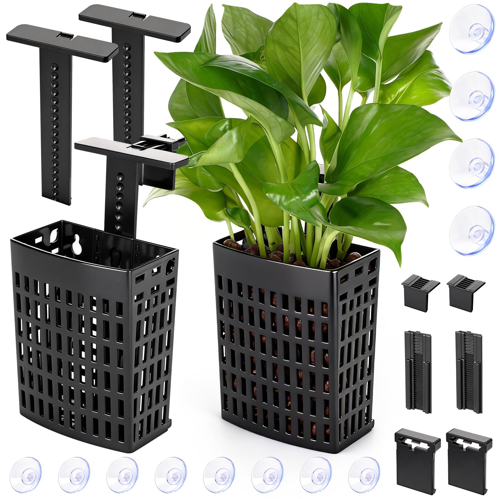 Borlech vue avant du support plante montrant maintien stable et esthétique