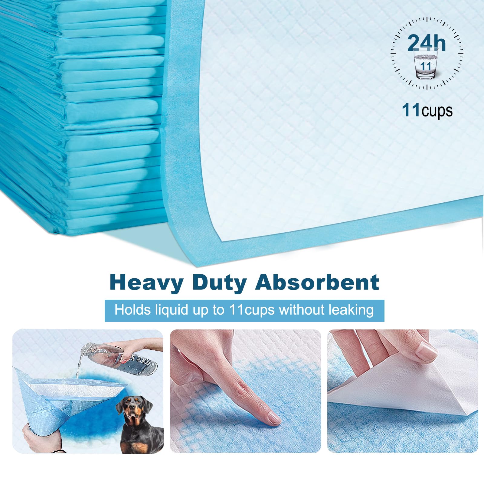 boscute comparaison taille avec chat et chiot, couverture maximale de la surface