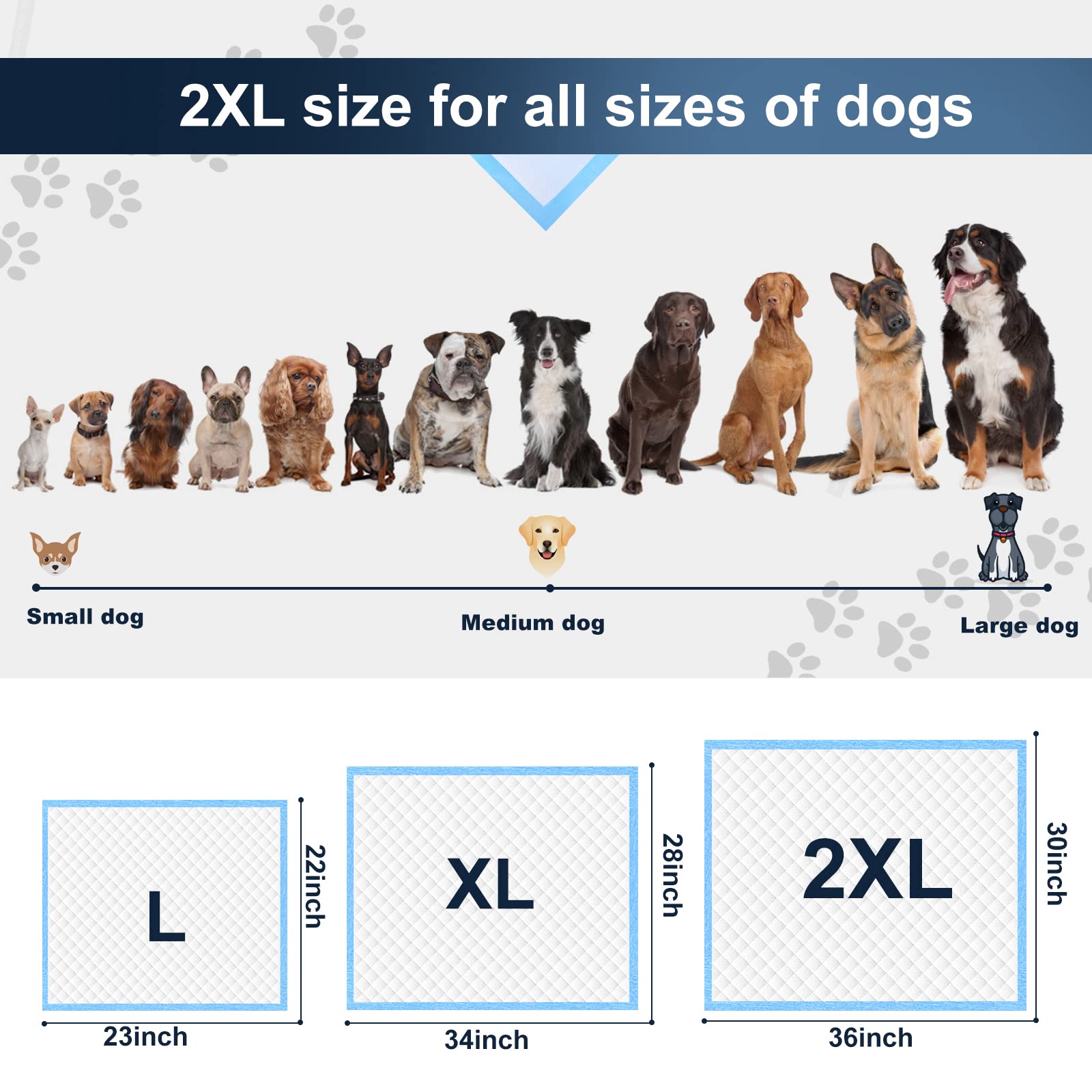 boscute comparaison d'échelle montrant taille XXL adaptée aux grands chiens