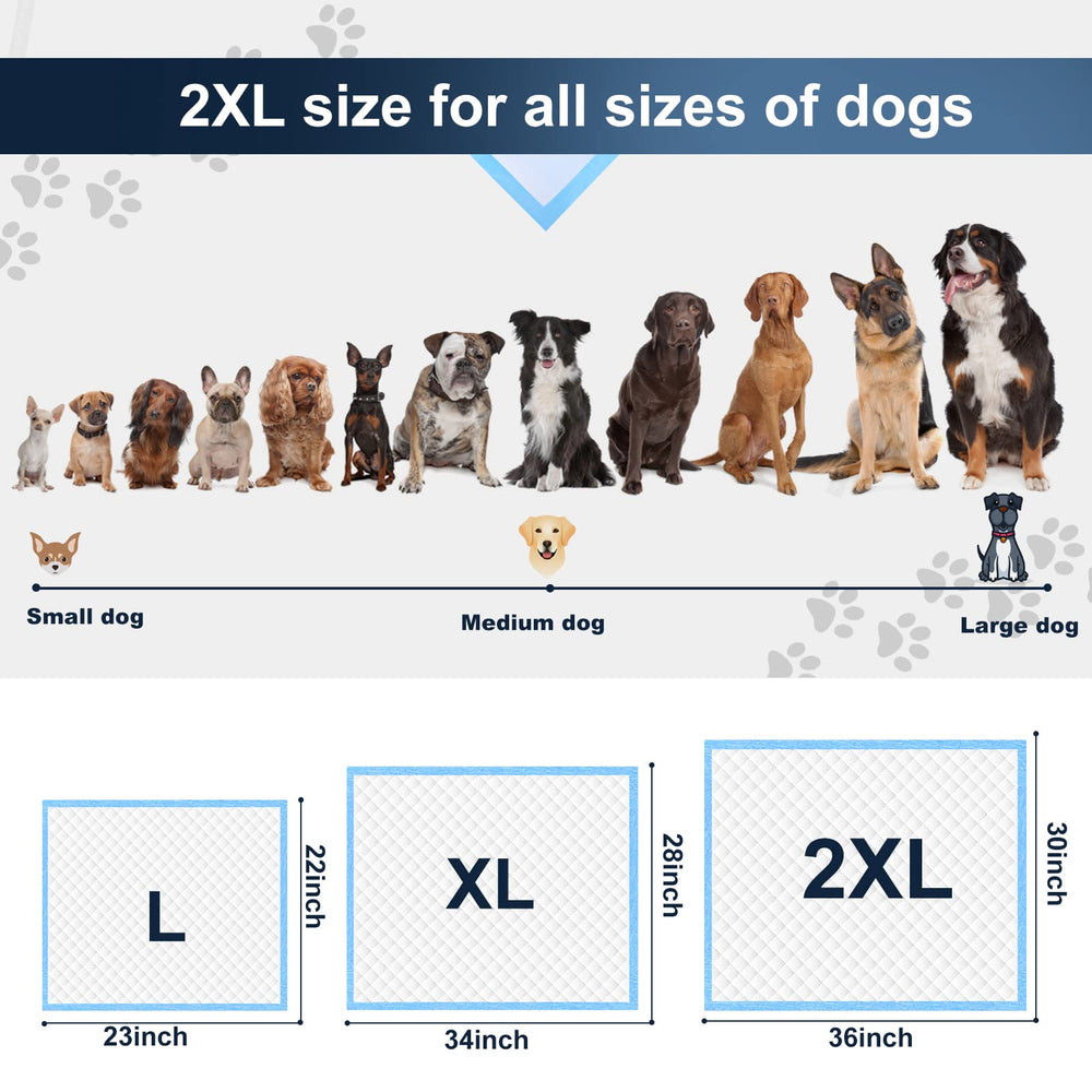boscute comparaison d'échelle montrant taille XXL adaptée aux grands chiens