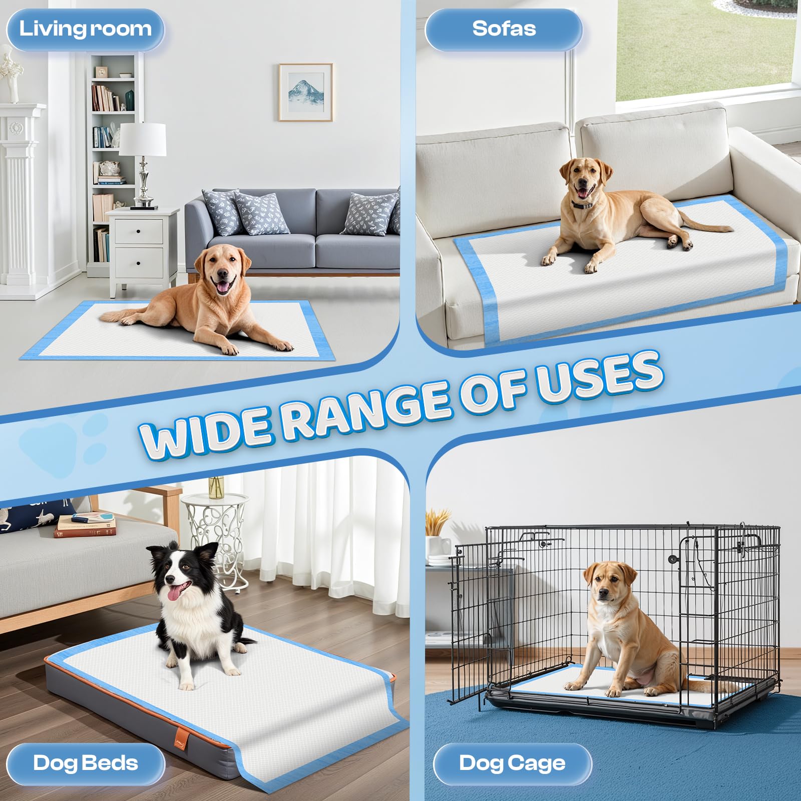 boscute ensemble multipack gros plan stockage pratique pour usage quotidien