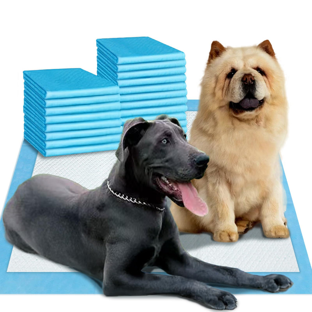 boscute emballage grand format montrant quantité et dimensions, protection longue durée