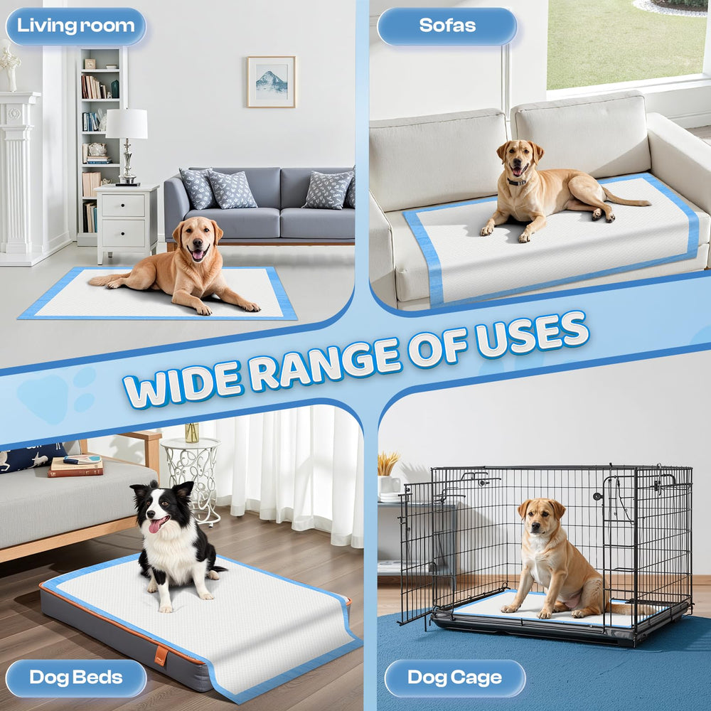 boscute setting salon montrant protection du parquet et confort animal