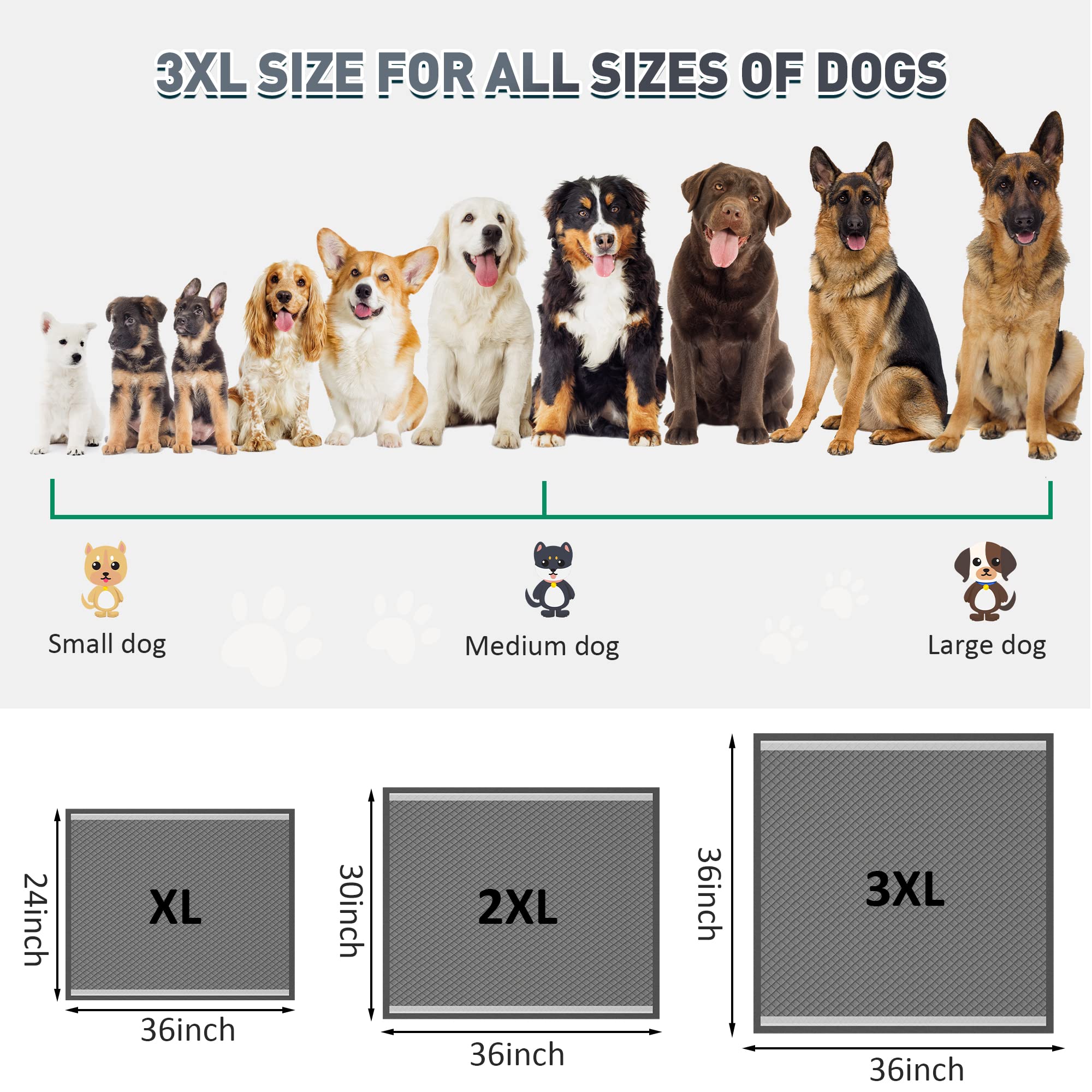 Boscute comparaison taille XXL illustrant zone de couverture large