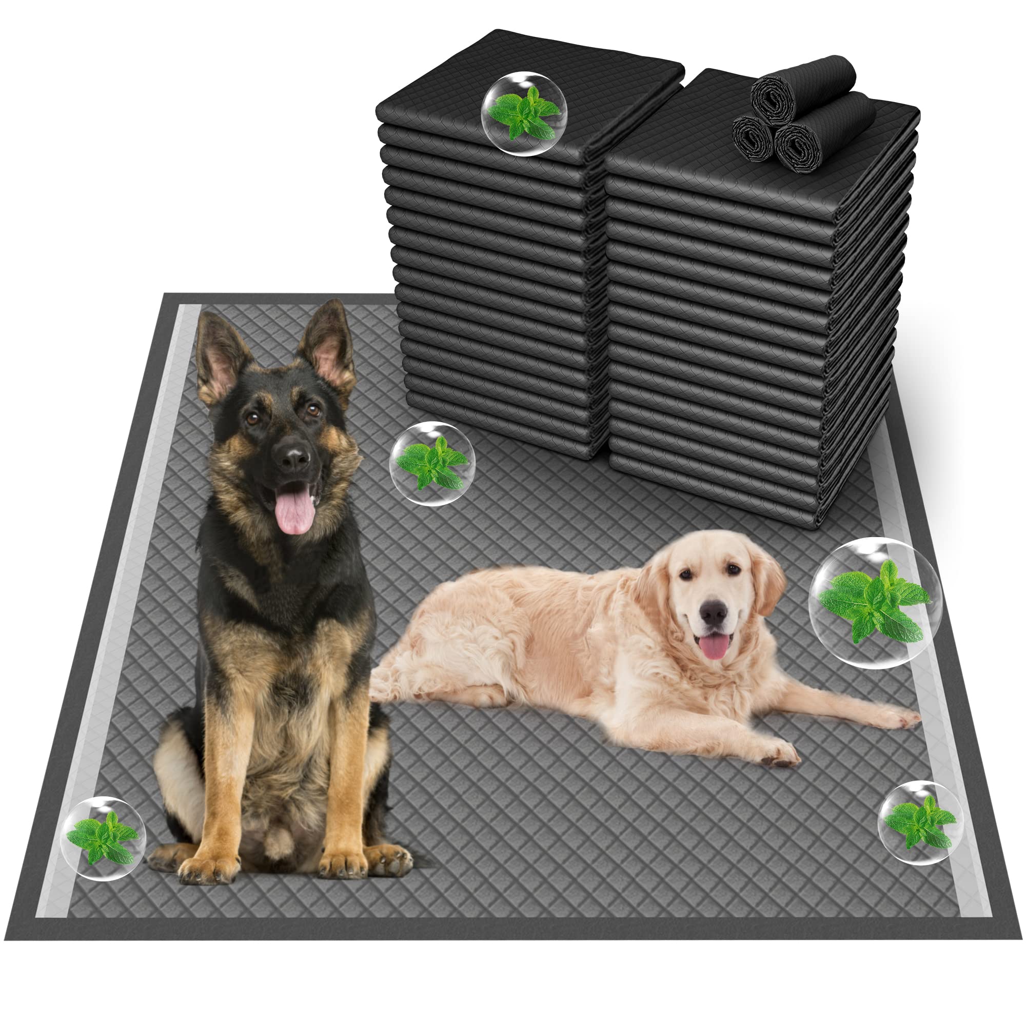 Boscute emballage du tapis XXL montrant format et bénéfice protection