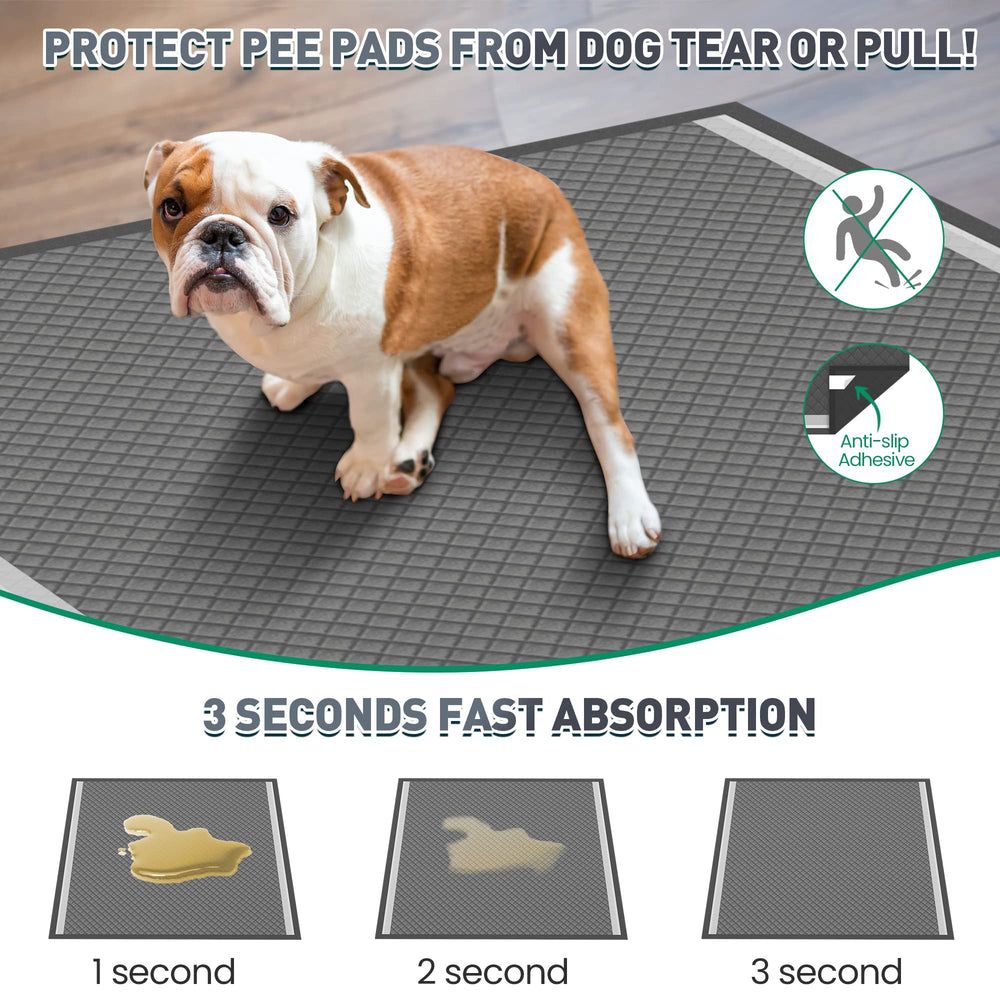 Boscute chiot utilisant le tapis démontrant entraînement propre
