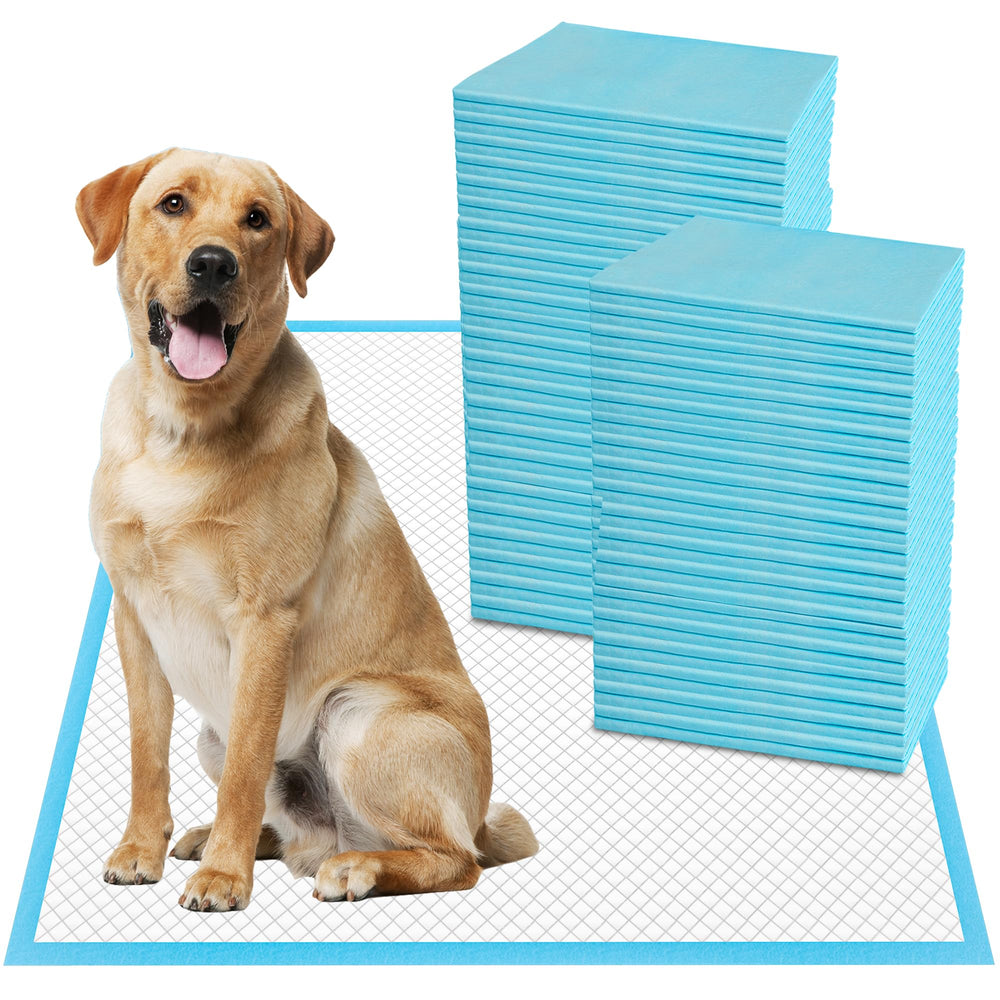 boscute emballage avant montrant dimensions et avantages protecteurs