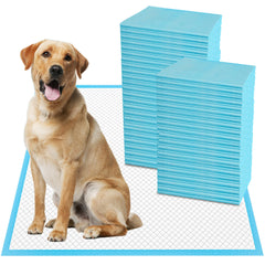 boscute emballage avant montrant dimensions et avantages protecteurs
