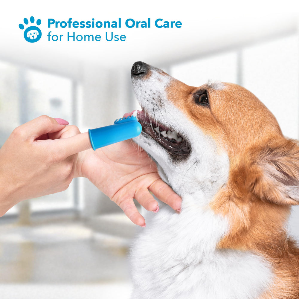 Boshel matériaux silicone et nylon, durables et sécuritaires pour chien