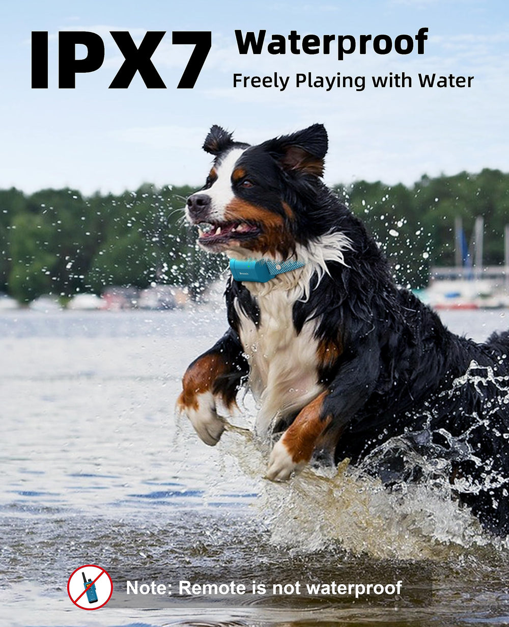 BOUSNIC collier en eau démontrant étanchéité IPX7 pour entraînement près de l'eau