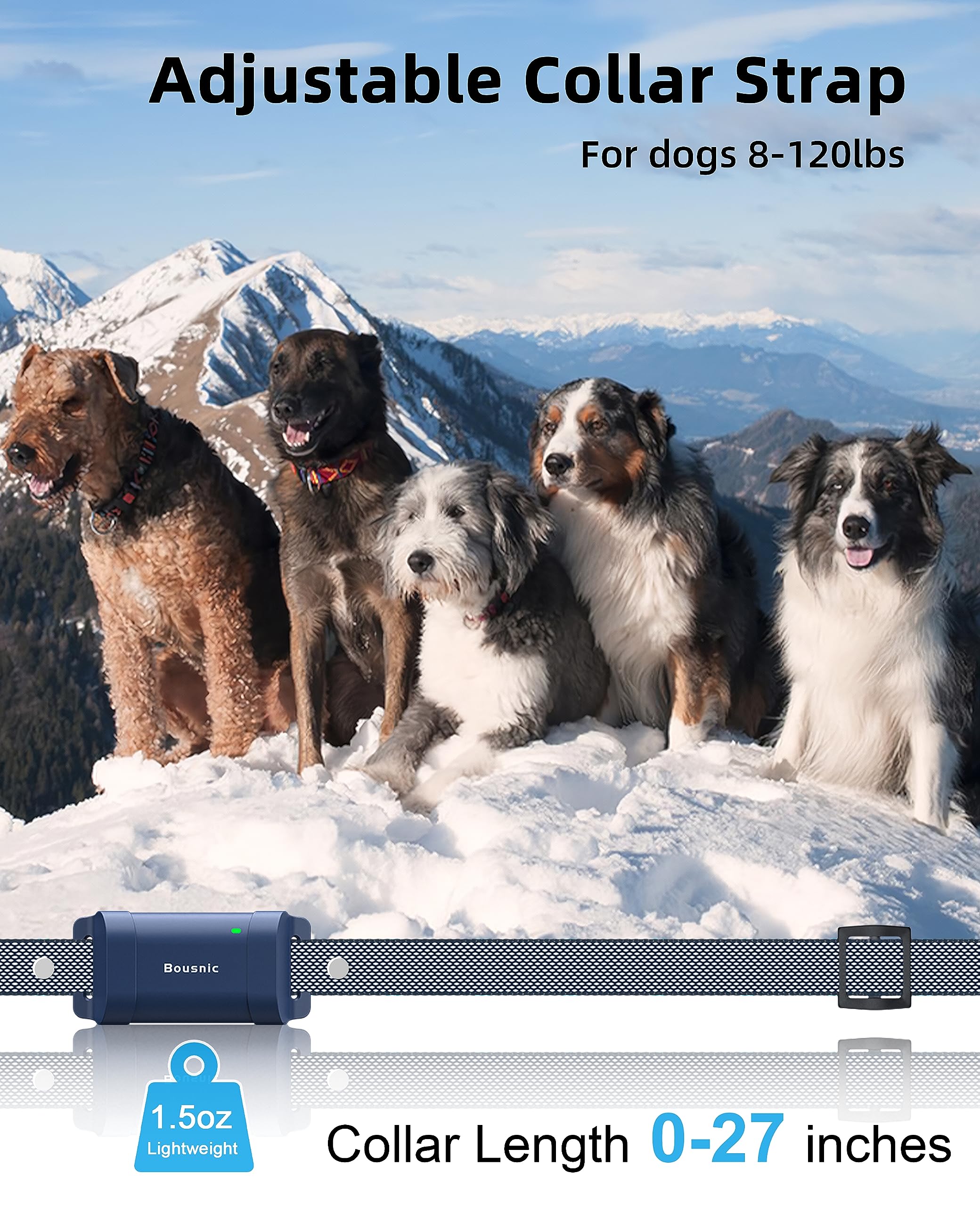 BOUSNIC collier sur chien en extérieur, contrôle à longue distance
