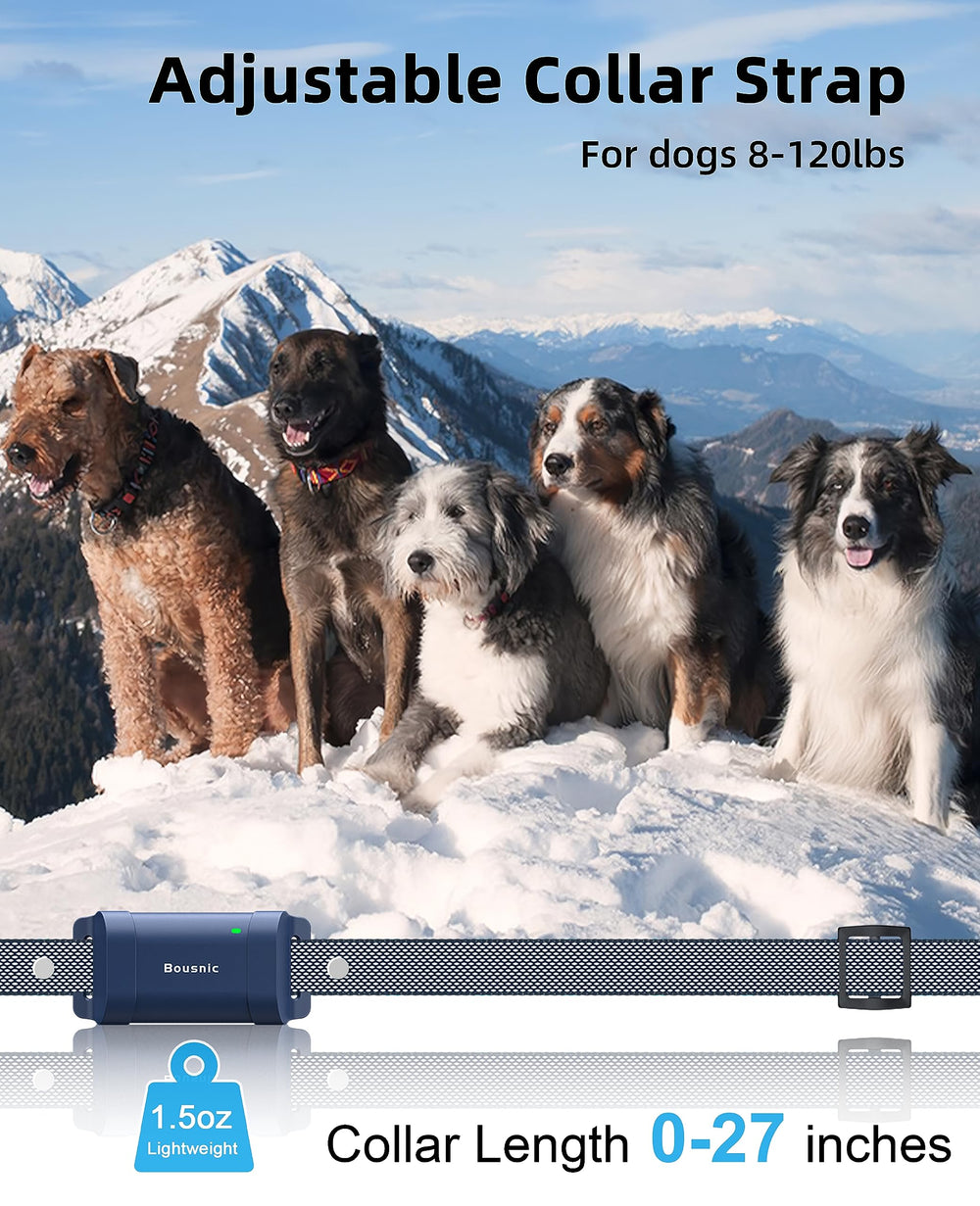 BOUSNIC collier sur chien en extérieur, contrôle à longue distance