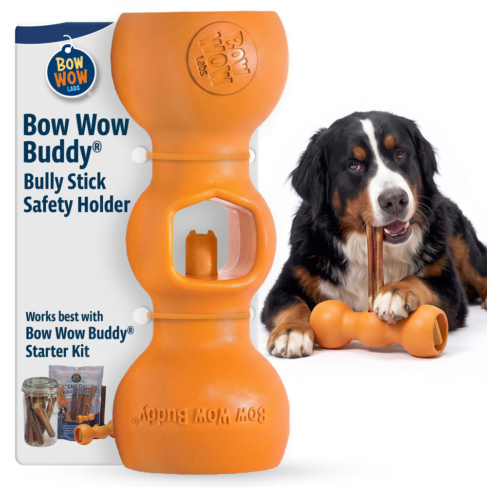 Bow Wow Labs vue face avant du Buddy montrant design compact et sécurité