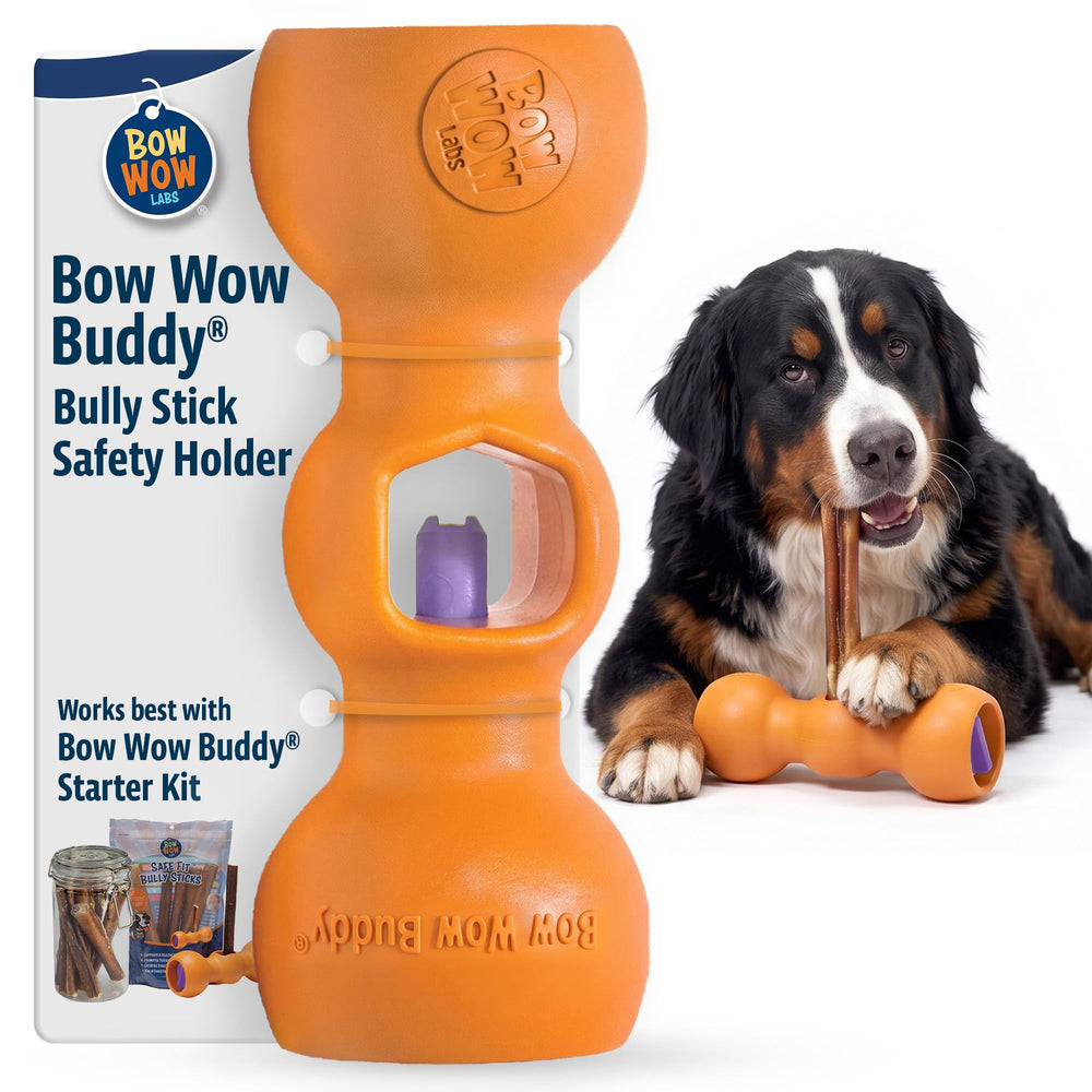 Bow Wow Labs Buddy SafeFit face avant montrant maintien sécurisé pour mâcher
